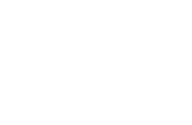 DUTCH MASTERS